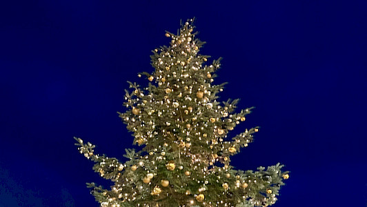 Foto eines Weihnachtsbaums mit Lichtern und goldenen Kugeln vorm Nachthimmel