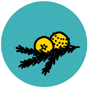 Zeichnung eines Tannenzweigs mit Apfel und Orange vor türkisfarbenem Kreis als Symbol für Düfte im Advent