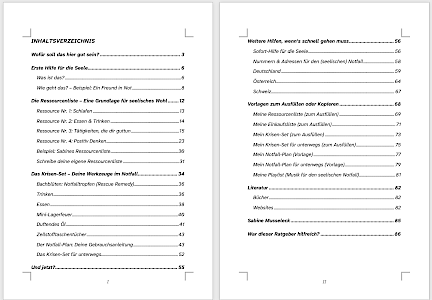 Vorschau auf das Inhaltsverzeichnis des Ratgebers "Mein Krisen-Set. Erste Hilfe für die Seele durch Selbstfürsorge" (Screenshot) Mit einem Klick aufs Bild kannst du das Inhaltsverzeichnis besser lesen.